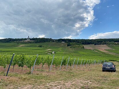 Bild der Germania in Rüdesheim