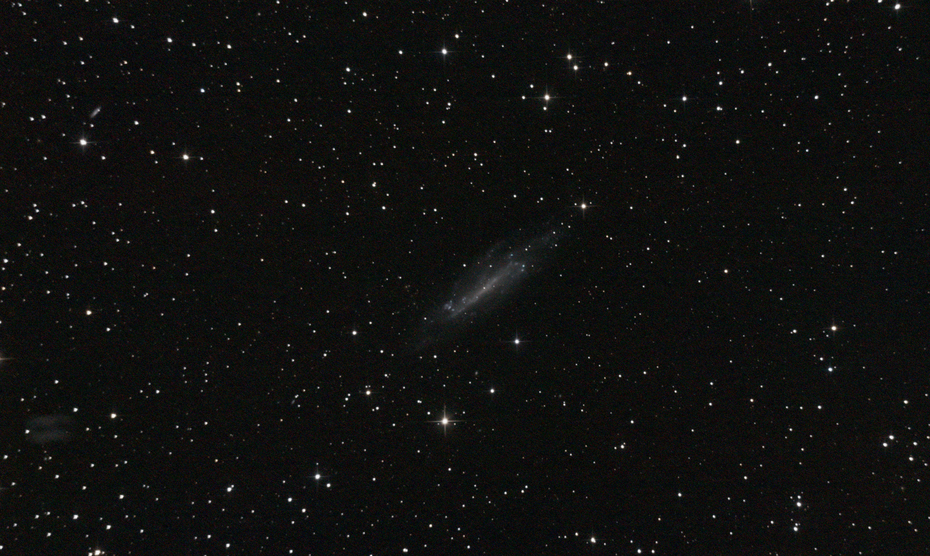 Bild von NGC 4236