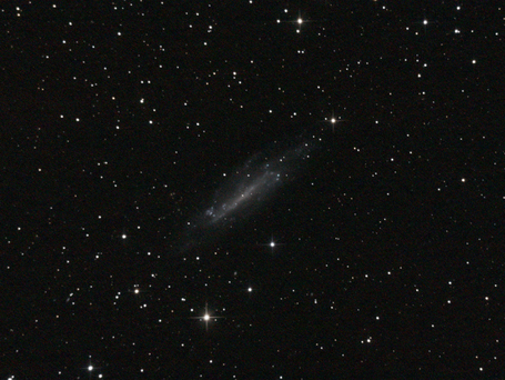 Bild von NGC 4236