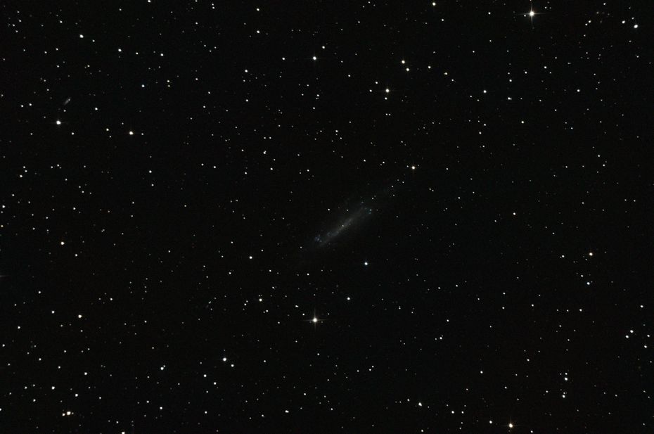 Bild von NGC 4236