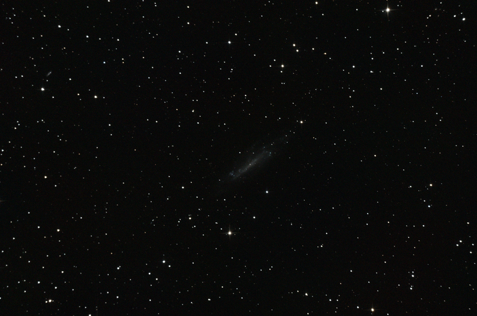 Bild von NGC 4236