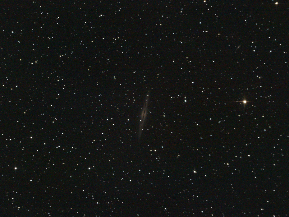 Bild von NGC 891